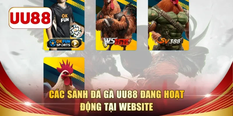 Các sảnh đá gà UU88 đang hoạt động tại website