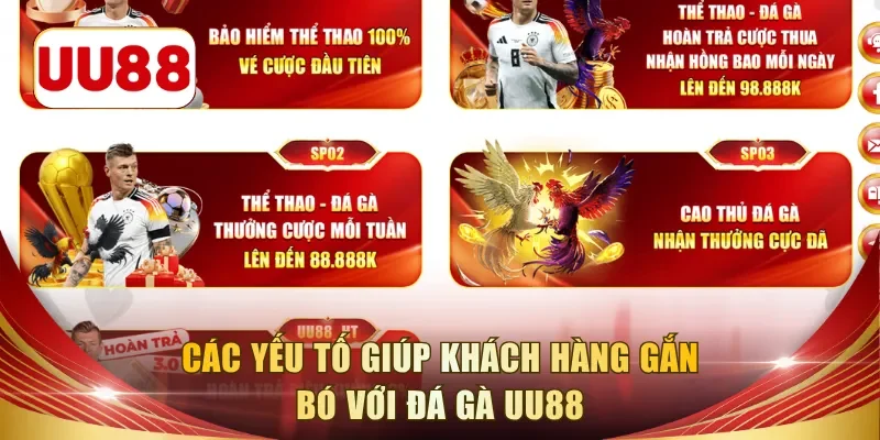 Các yếu tố giúp khách hàng gắn bó với đá gà UU88