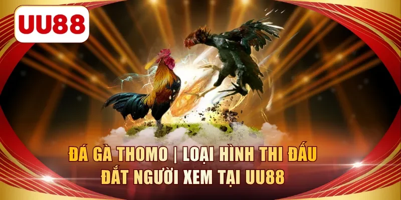 đá gà thomo