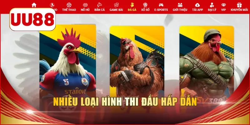 Nhiều loại hình thi đấu hấp dẫn