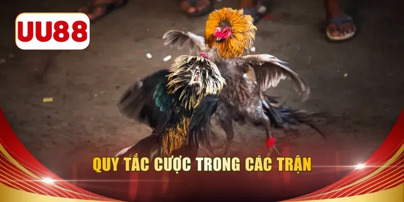 Quy tắc cược trong các trận