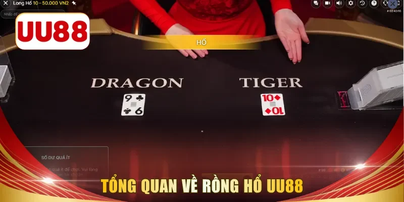 Tổng quan về rồng hổ UU88